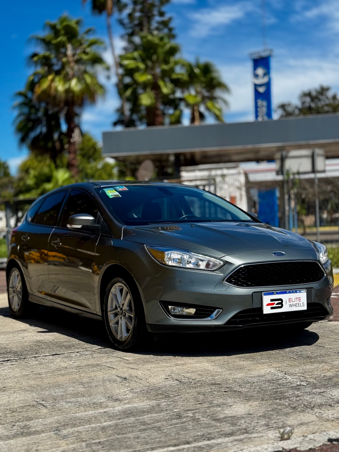 Focus SE