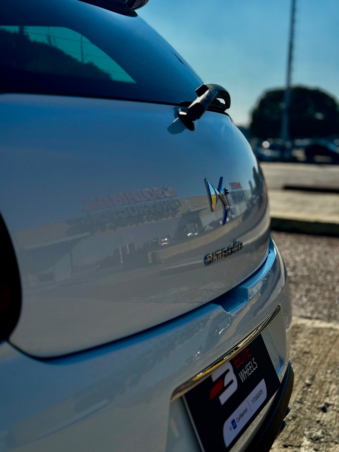Miniatura 7